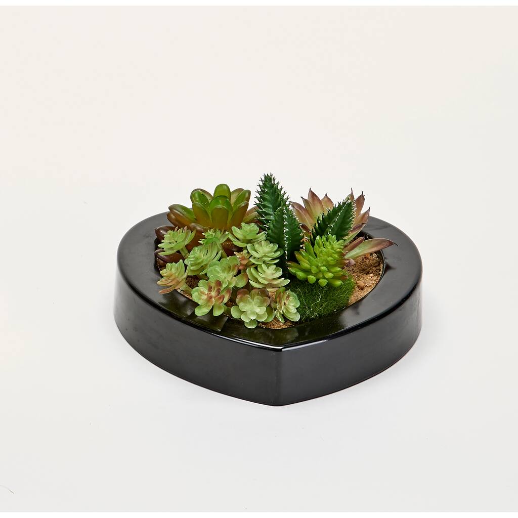 Mixed Succulents in 7" Heart Shapped Plastic Container - Green - 7