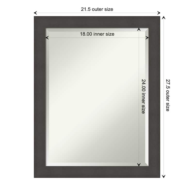 Blaine Narrow Beveled Framed Wall Mirror - Blaine Light Pewter Narrow - Glass Size 18x24