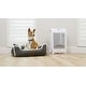 preview thumbnail 10 of 17, Eyevac Pet Touchless Vacuum - 1.6 Gallon