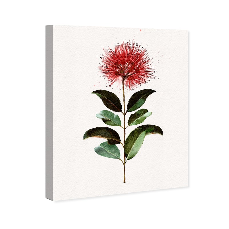 Wynwood Studio Canvas Floral and Botanical My Own Dandelion Red and Traditional Wall Art Canvas Print - Red, Green