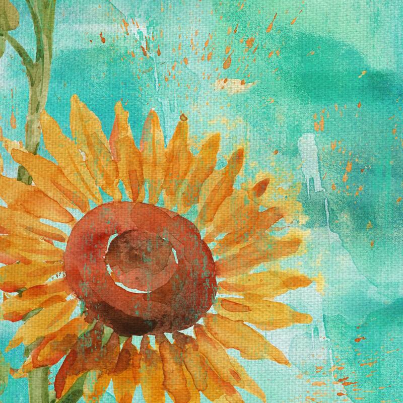 Arianna Sunflowers I, II by Paul Brent Canvas Art Prints
