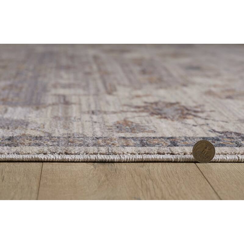 Domani Greige Distressed And Modern Oriental Area Rug