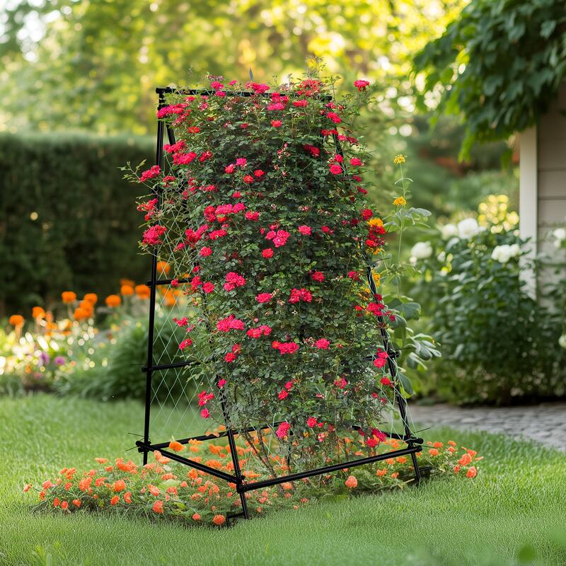Triangle Garden Arch Trellis for Climbing Plants