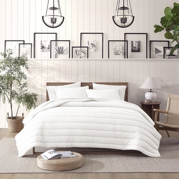 schrank 70 cm tief Kommode EMANUEL massiv mit Rolltür kaufen Farbe:RAL 6008 (Braungrün) - Matt