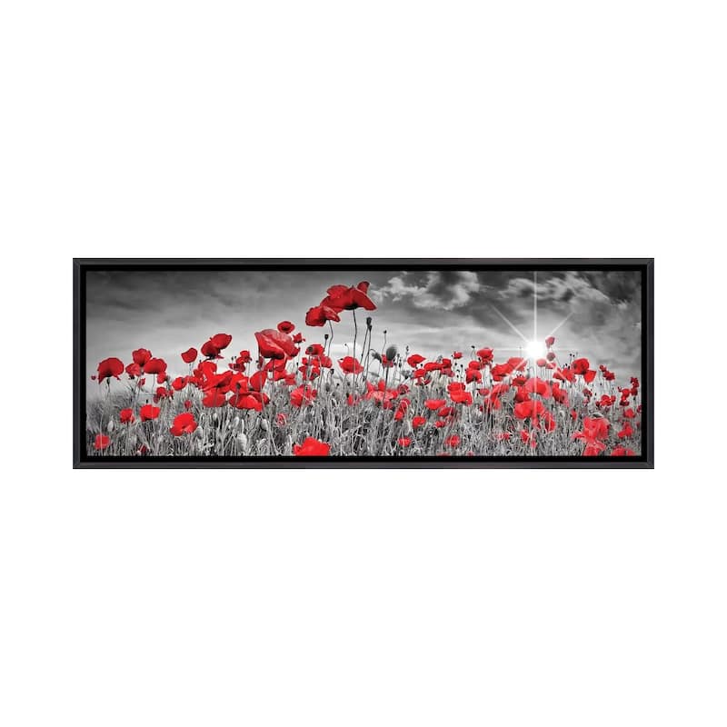 iCanvas "Idyllic Field Of Poppies With Sun Panorama" by Melanie Viola Framed - 16x48 - Ebony