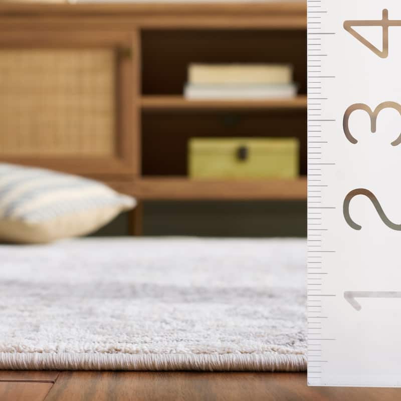 SAFAVIEH Garnet Eiko Vintage Distressed Rug