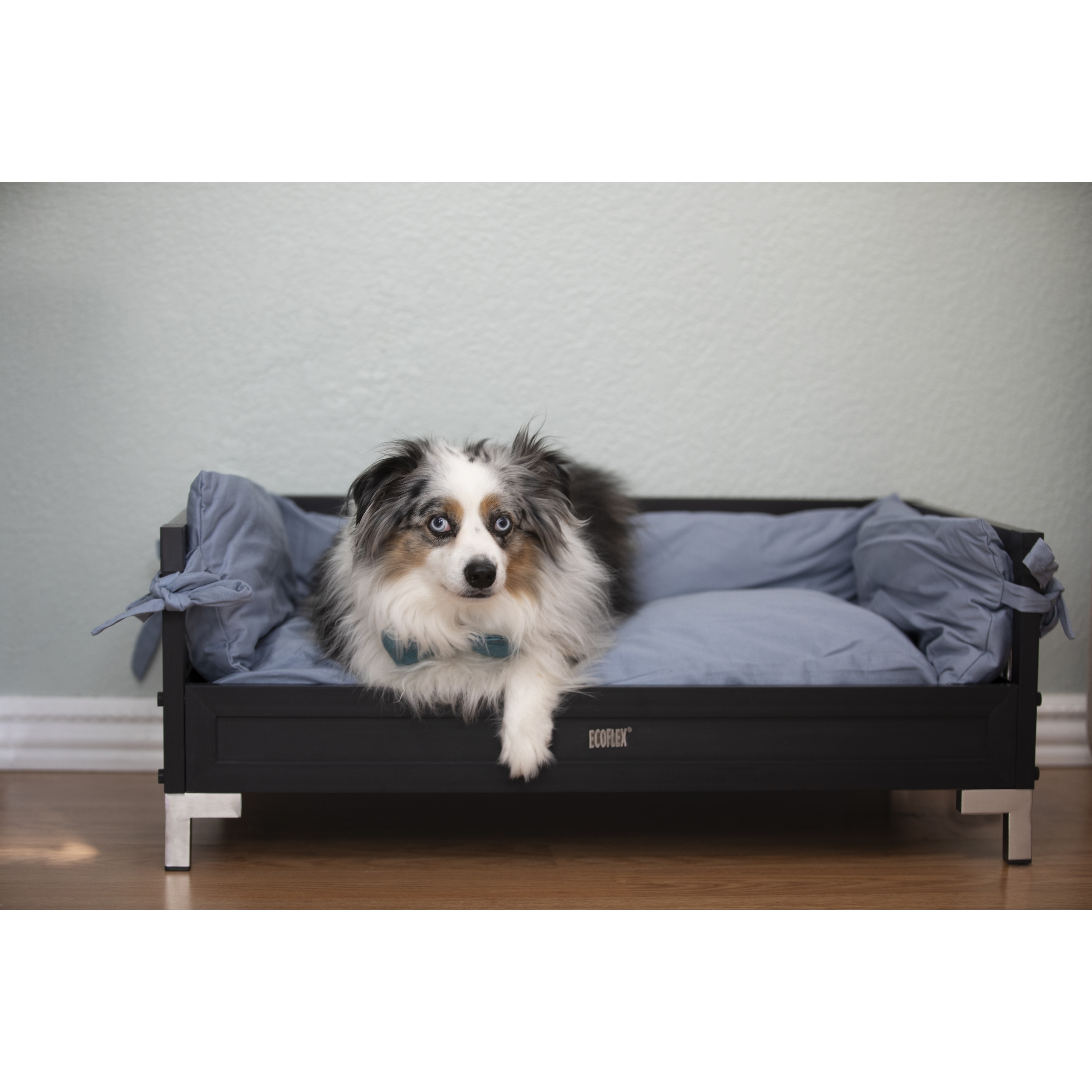 New Age Pet ECOFLEX Manhattan Raised Dog Bed with Cushion Bed