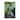 Robert Michaud 'Tropical Forest' Canvas Art
