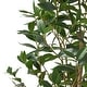 preview thumbnail 8 of 11, Atoka 5.5' x 2' Artificial Laurel Tree by Christopher Knight Home