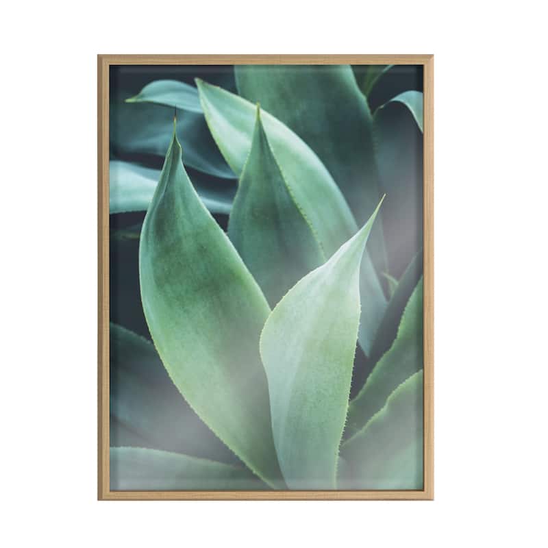 Kate and Laurel Blake Agave II Framed Print by Emiko and Mark Franzen
