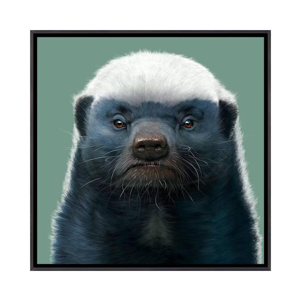 iCanvas "Honey Badger" by Vincent Hie Framed