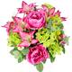 Option GPB4307-ORCHID