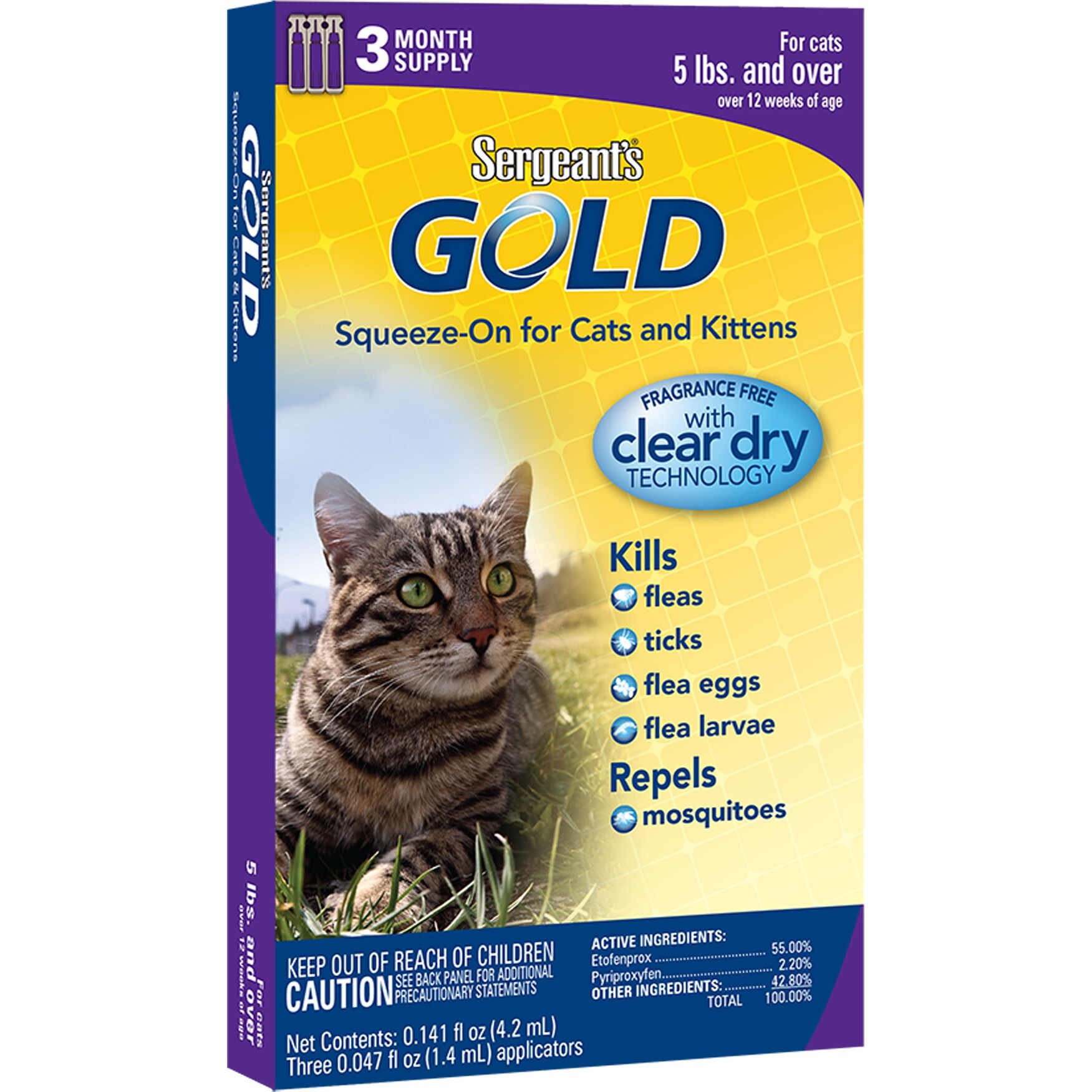 Shop Gold Squeeze On For Cats Free Shipping On Orders Over 45