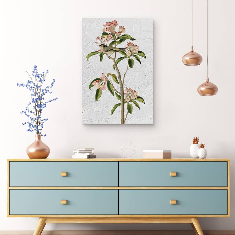 Audubon Curviers Regulus Texture by Design Lab Canvas Art Print