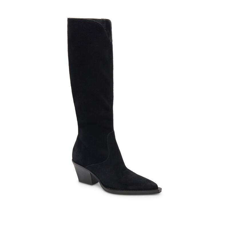 Dolce Vita Raj Suede Tall Pointed Toe Boot