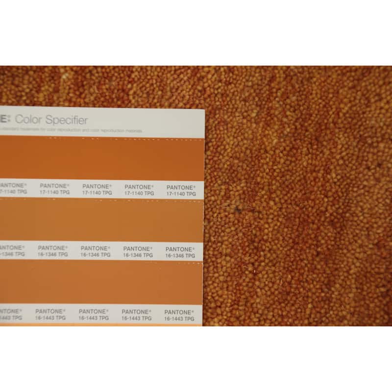 Hand Knotted Oriental 100% Wool Carpet Tribal Animal Pictorial Oranges & Rust Gabbeh Area Rug - 9' 7'' X 10' 0''