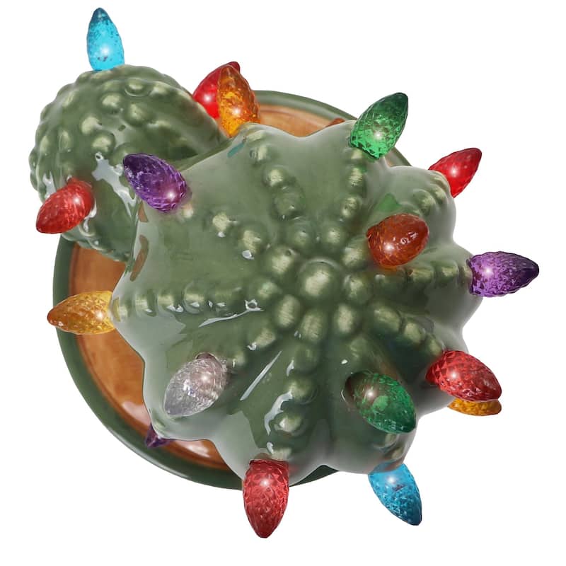 Cactus Succulent with Multicolored Lights