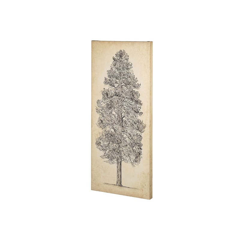 Pacific Northwest Tree Sketch III Canvas Art Print - Small