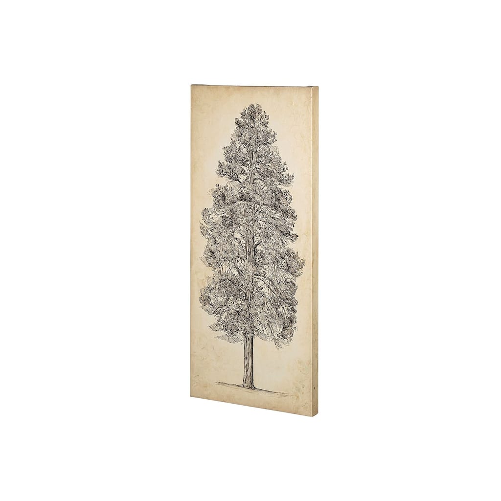 Pacific Northwest Tree Sketch III Canvas Art Print