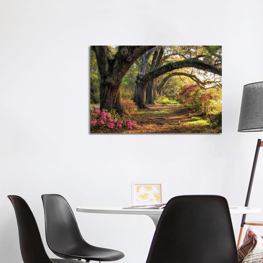 iCanvas "Under The Live Oaks I" by Danny Head Canvas Print