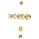 Option Polished Brass