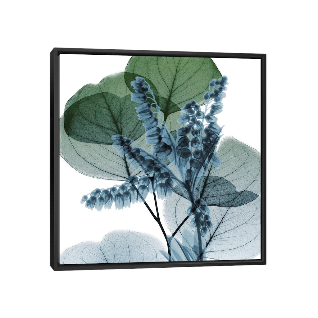 iCanvas "Lilly Of Eucalyptus II" by Albert Koetsier Framed Canvas Print