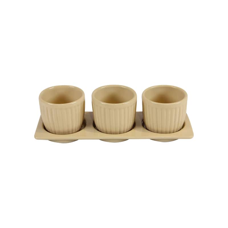 Gerbera Ceramic Planter Set with Disk