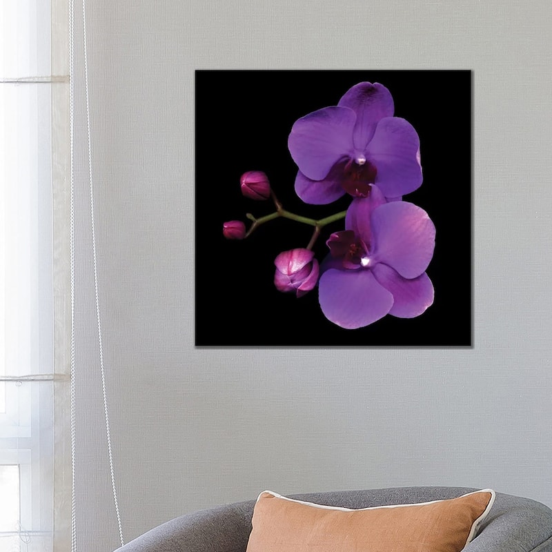 iCanvas "The Color Purple" by Magda Indigo Canvas Print - 26x26x1.5