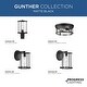 preview thumbnail 2 of 8, Progress Lighting Gunther 2 Light 13" Wide Indoor / Outdoor Flush