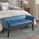 Madison Park Antonio Upholstered Rectangle Accent Bench - Blue