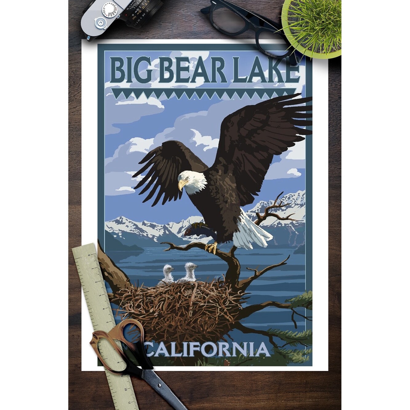 Big Bear Lake California Bald Eagle Chicks Lantern Press Artwork Art Print Multiple Sizes Available