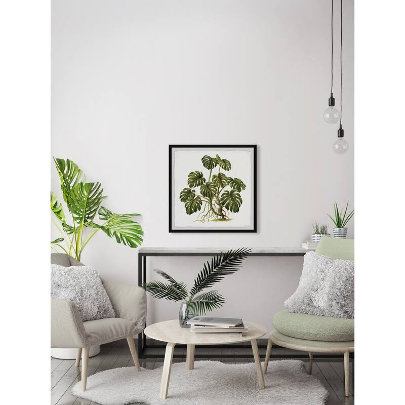 Exotic Palms Framed Print
