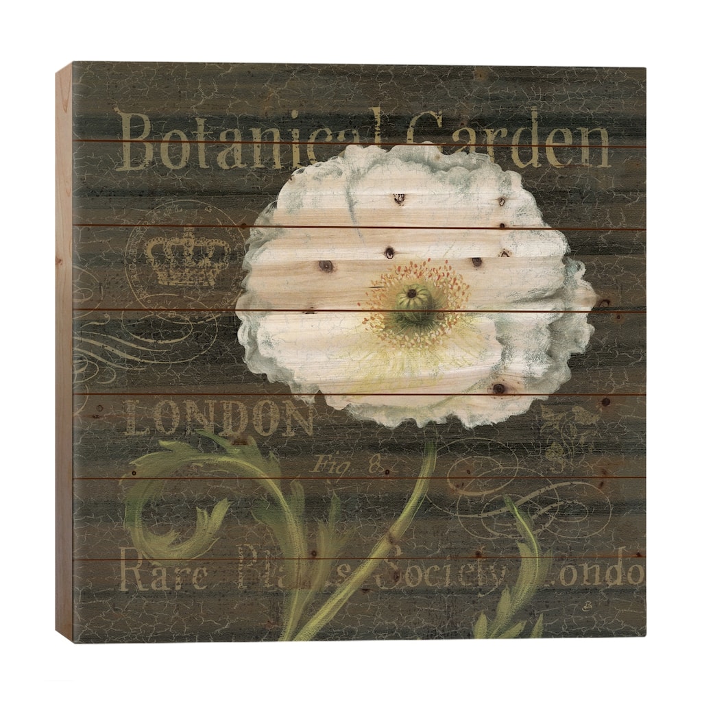 Botanical Garden II - Borderless Print On Wood by Daphne Brissonnet - Multi-Color