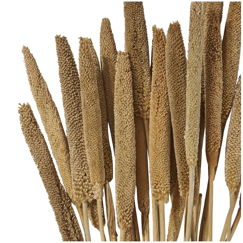 Dried Plant Bunny Tail Home Decor Natural Foliage - White, Red, Dark Brown, Orange, Green, Pink, Yellow - Roche River Decor