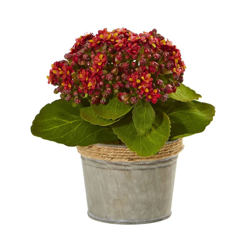 Set of 3 Artificial Kalanchoe Arrangements in Decorative Pot 9" - Multi