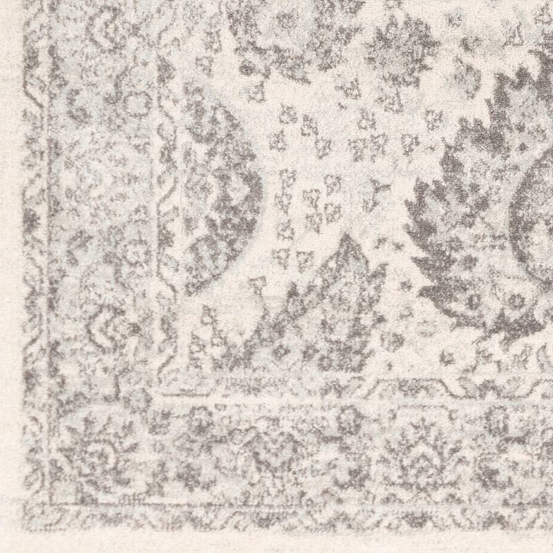 Artistic Weavers Bastiaan Transitional Area Rug