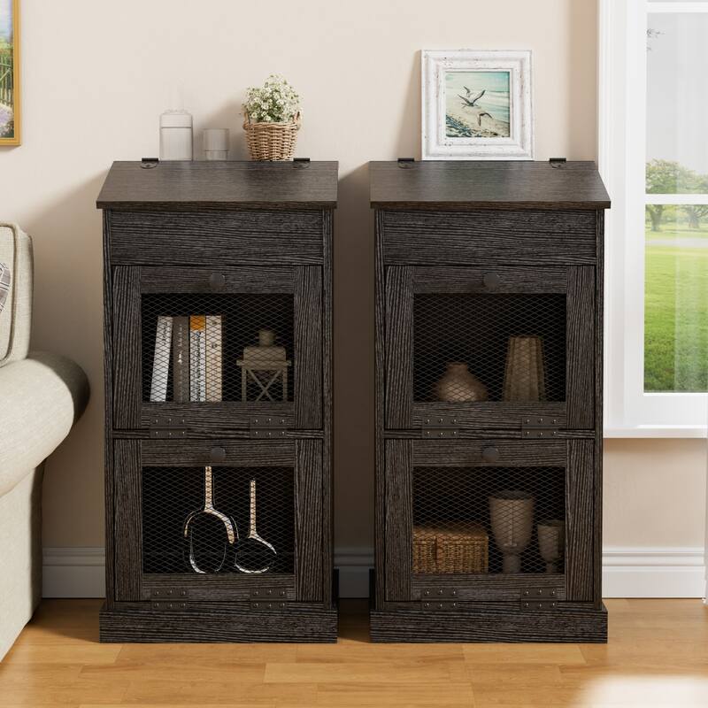 Vintage 2-Door Storage Cabinet Multi-Tier Organizer