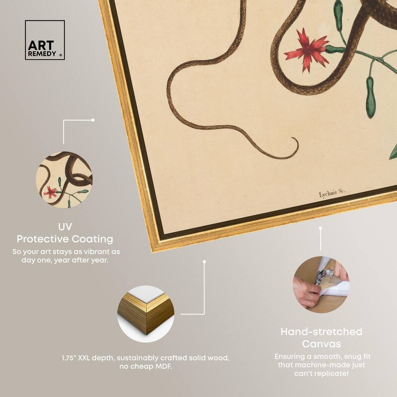 The Coach Whip Snake 1743 Canvas by Art Remedy