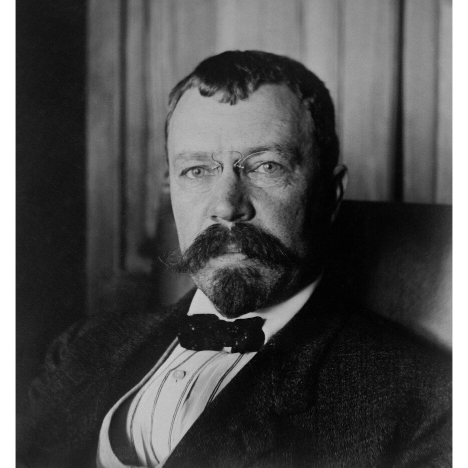 Lincoln Steffens History - Overstock - 24382355 Lincoln Steffens History - Overstock - 24382355