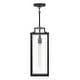 preview thumbnail 3 of 4, Hinkley Lighting 23012 Catalina 8" Wide Outdoor Mini Pendant