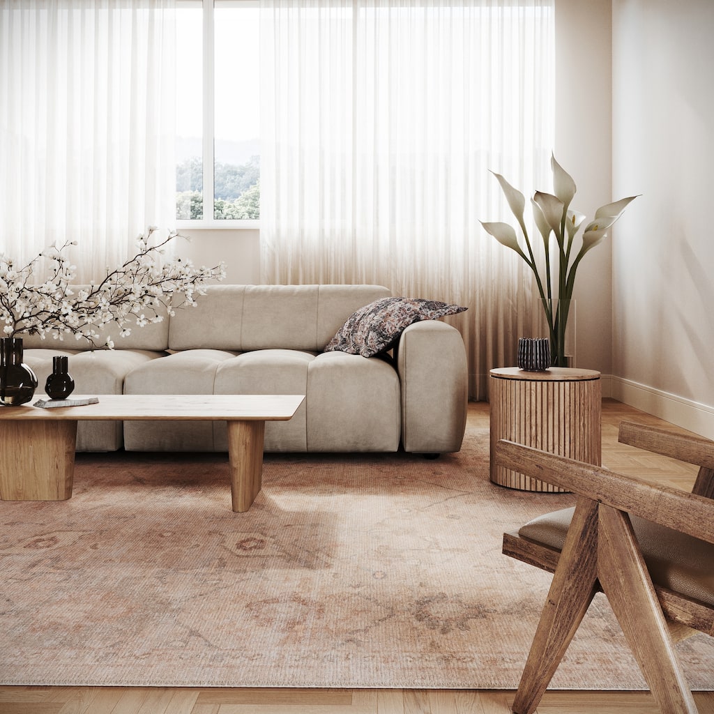 Nuloom Coriselle Vintage & Distressed Washable Rug