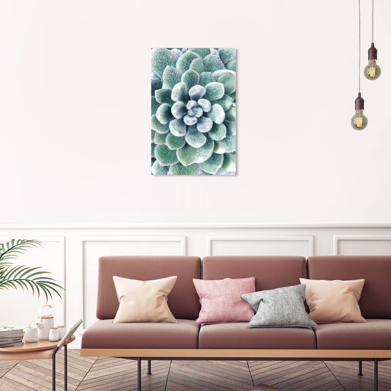 Wynwood Studio Canvas Floral and Botanical Succulent Zoom III Green and Tropical Wall Art Canvas Print - 30 x 20