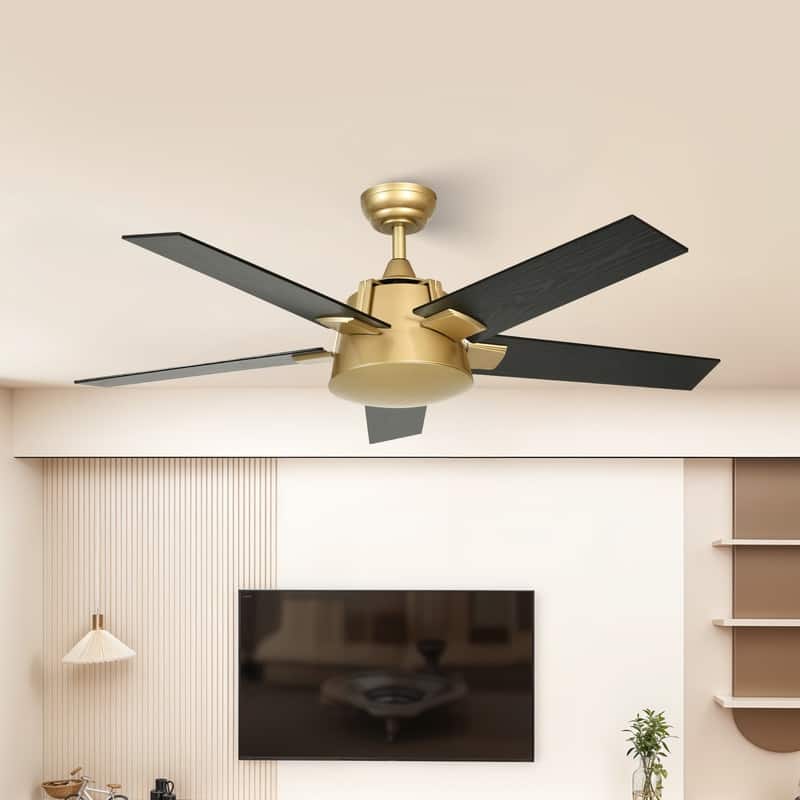Moasis 52 Inch Modern Black Gold Ceiling Fan with Wall Switch & Remote