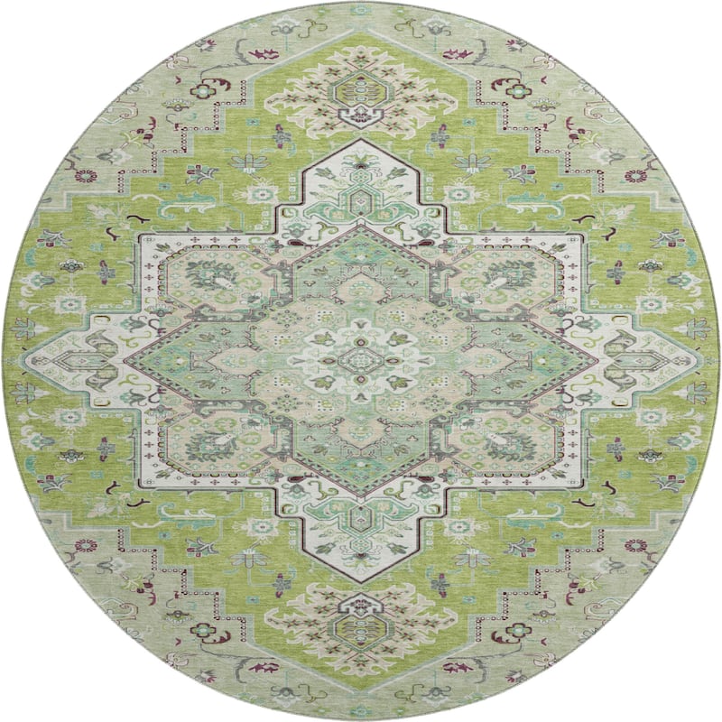 Premium Washable Super Soft Traditional Oriental Mayfield Rug