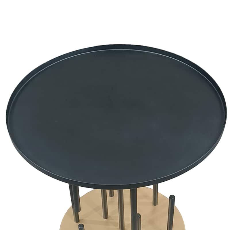 Neci 20 Inch Side End Table, Round Matte Black Tray Top, Modern Rod Supports with Brass Base