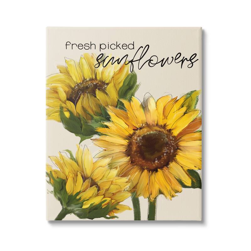 Stupell Fresh Picked Sunflowers Calligraphy Vivid Yellow Blossoms Canvas Wall Art, Design by Conrad Knutsen - 24 x 30