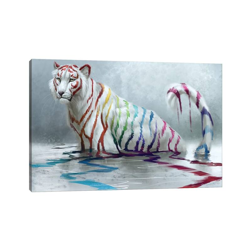 iCanvas "Rainbow" by Jade Merien Canvas Print