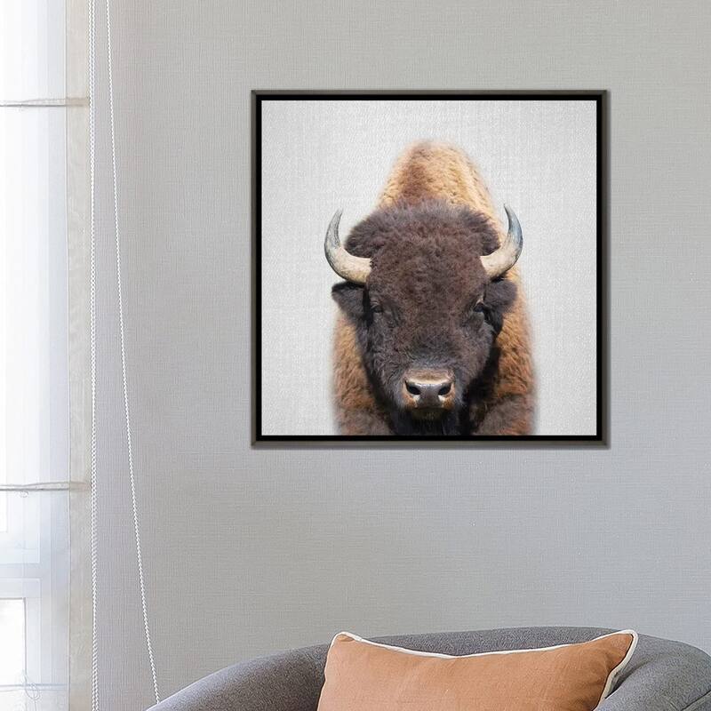 iCanvas "Buffalo" by Gal Design Framed