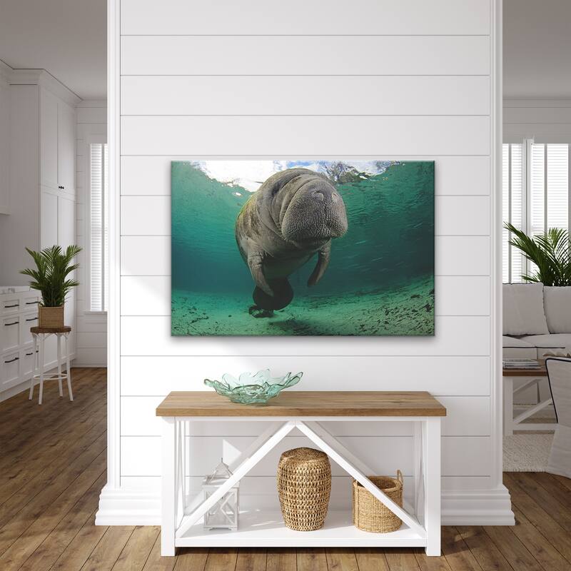 Ready2HangArt 'Manatee Hug' Wrapped Canvas Wall Art