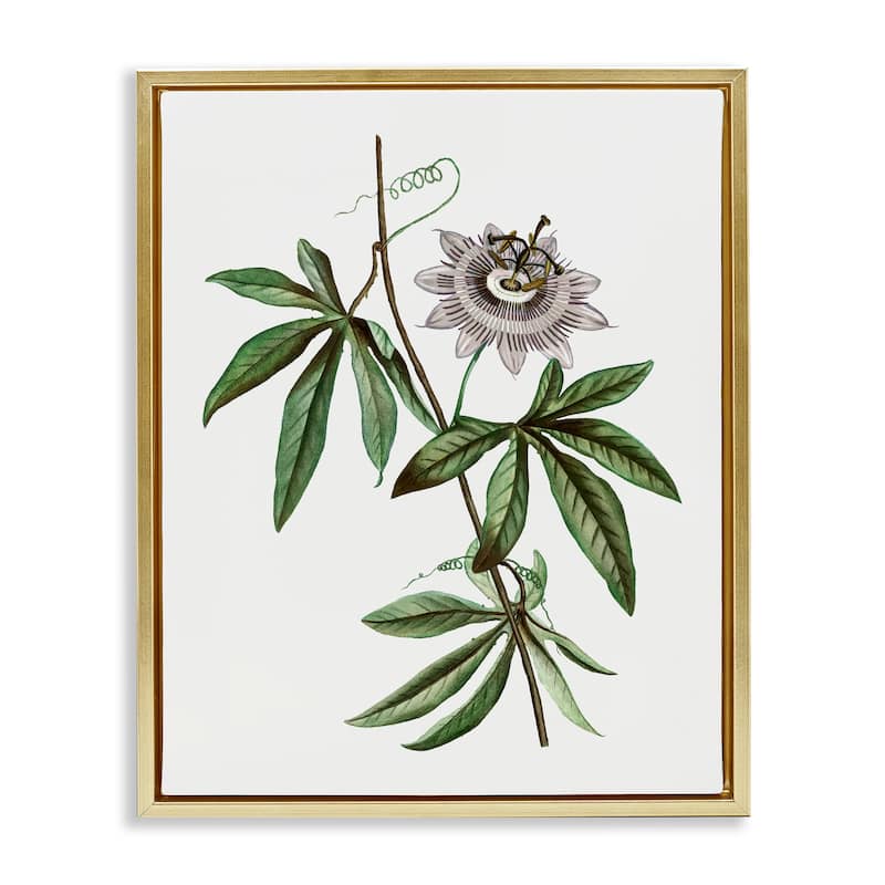 Stupell Vintage Circular Bloom Framed Floater Canvas Wall Art Design By CAD Designs - 17 x 21 - Gold